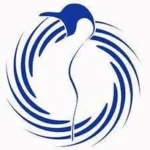 Pinguino Nuoto